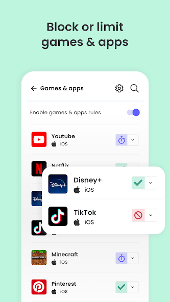 Screen